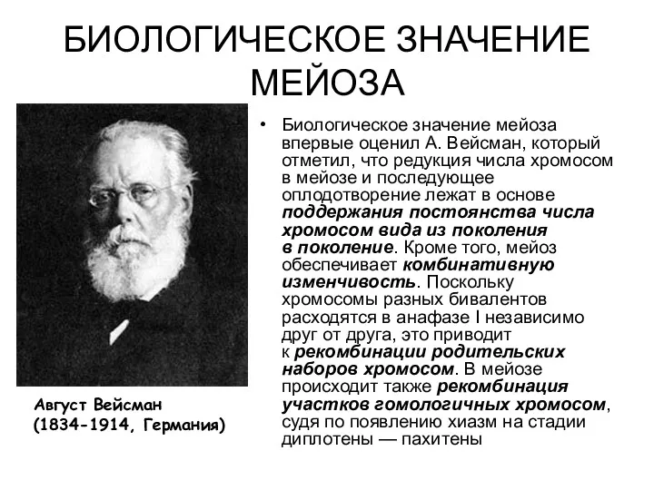 БИОЛОГИЧЕСКОЕ ЗНАЧЕНИЕ МЕЙОЗА Биологическое значение мейоза впервые оценил А. Вейсман,