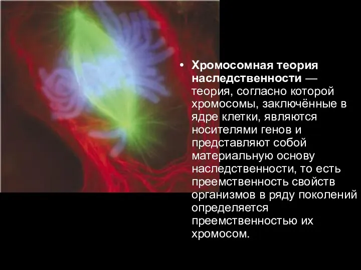 Хромосомная теория наследственности — теория, согласно которой хромосомы, заключённые в