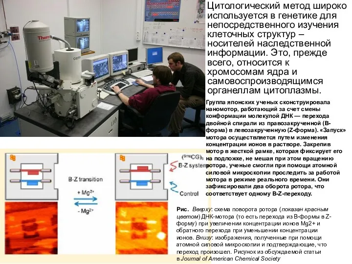 Цитологический метод широко используется в генетике для непосредственного изучения клеточных