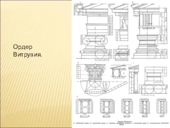 Ордер Витрувия.