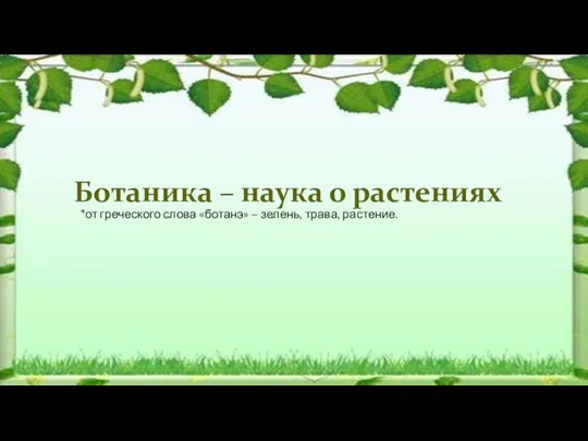 Ботаника – наука о растениях *от греческого слова «ботанэ» – зелень, трава, растение.