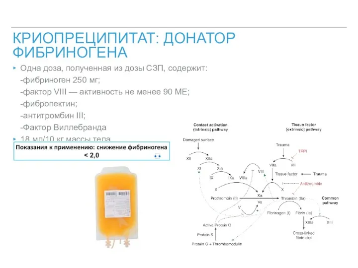 КРИОПРЕЦИПИТАТ: ДОНАТОР ФИБРИНОГЕНА Одна доза, полученная из дозы СЗП, содержит: