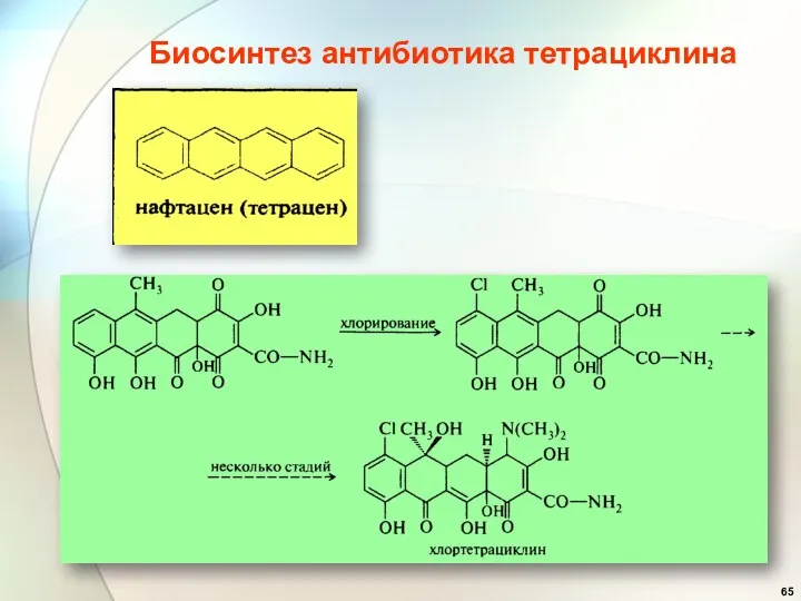 Биосинтез антибиотика тетрациклина