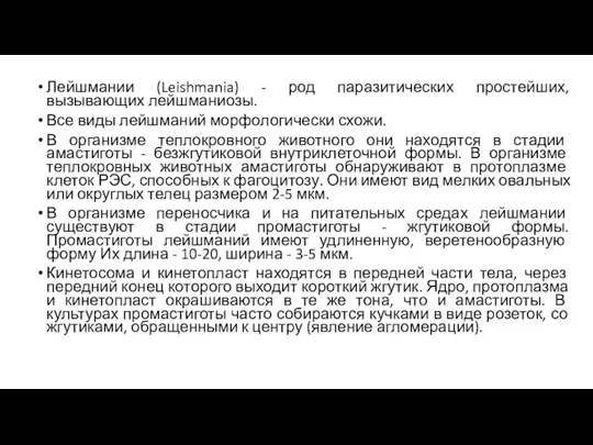 Лейшмании (Leishmania) - род паразитических простейших, вызывающих лейшманиозы. Все виды