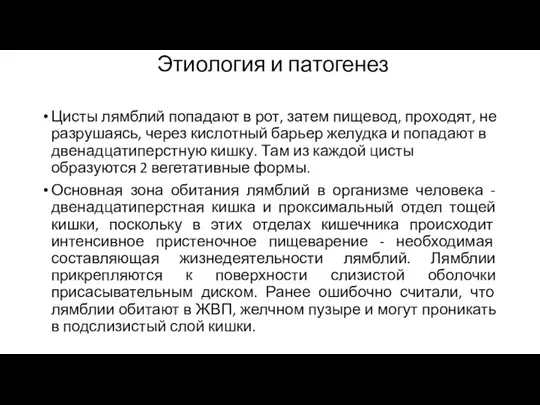 Этиология и патогенез Цисты лямблий попадают в рот, затем пищевод,