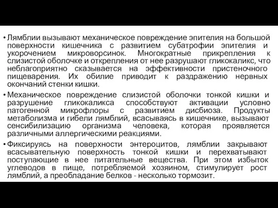 Лямблии вызывают механическое повреждение эпителия на большой поверхности кишечника с