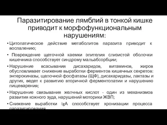 Паразитирование лямблий в тонкой кишке приводит к морфофункциональным нарушениям: Цитопатическое