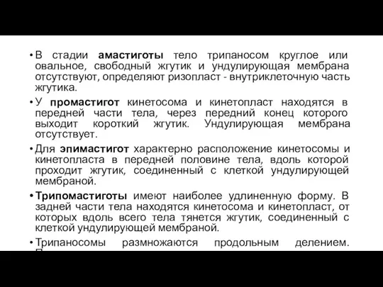 В стадии амастиготы тело трипаносом круглое или овальное, свободный жгутик