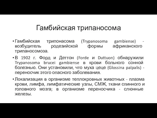 Гамбийская трипаносома Гамбийская трипонасома (Trypanosoma gambiense) - возбудитель родезийской формы