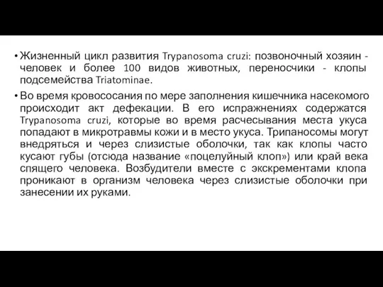 Жизненный цикл развития Trypanosoma cruzi: позвоночный хозяин - человек и