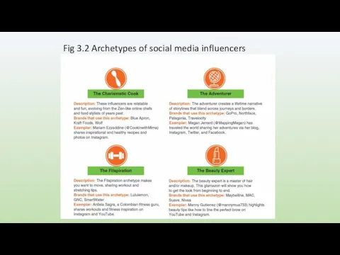 Fig 3.2 Archetypes of social media influencers