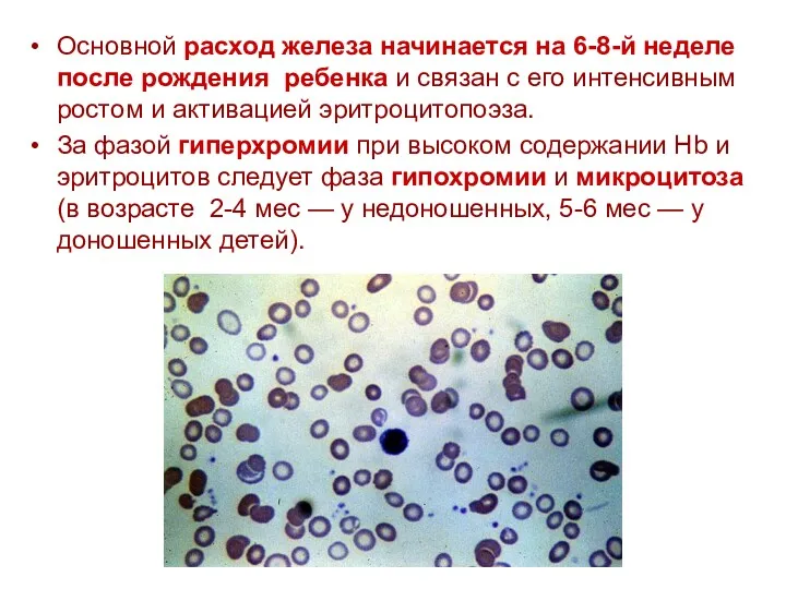 Основной расход железа начинается на 6-8-й неделе после рождения ребенка