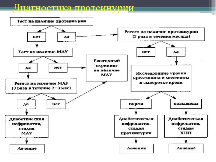 Диагностика протеинурии