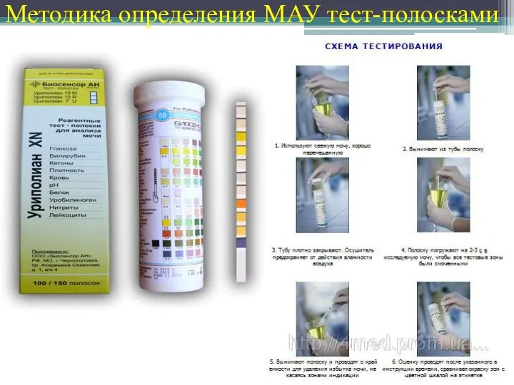 Методика определения МАУ тест-полосками