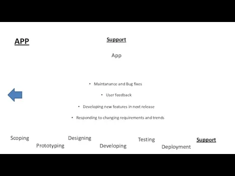 APP Scoping Developing Prototyping Testing Support Designing App Maintanance and