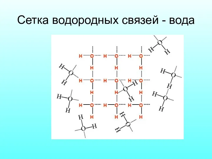 Сетка водородных связей - вода