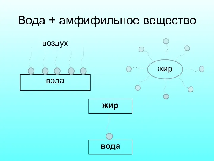 Вода + амфифильное вещество