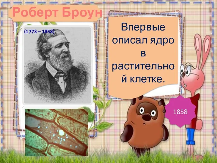 Впервые описал ядро в растительной клетке. 1858 Роберт Броун (1773 – 1858)