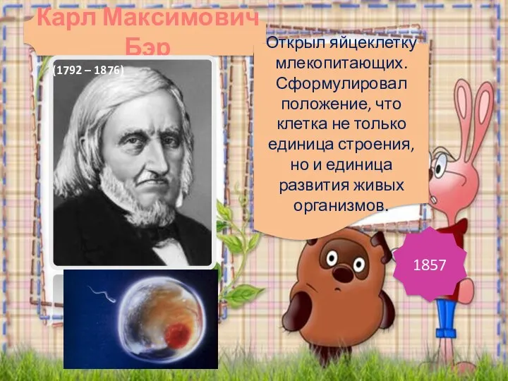 Открыл яйцеклетку млекопитающих. Сформулировал положение, что клетка не только единица