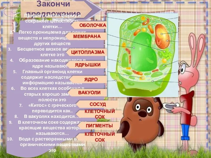 Закончи предложение Придает клетке форму и сохраняет целостность клетки… Легко