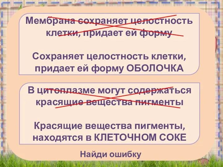 Найди ошибку Мембрана сохраняет целостность клетки, придает ей форму Сохраняет