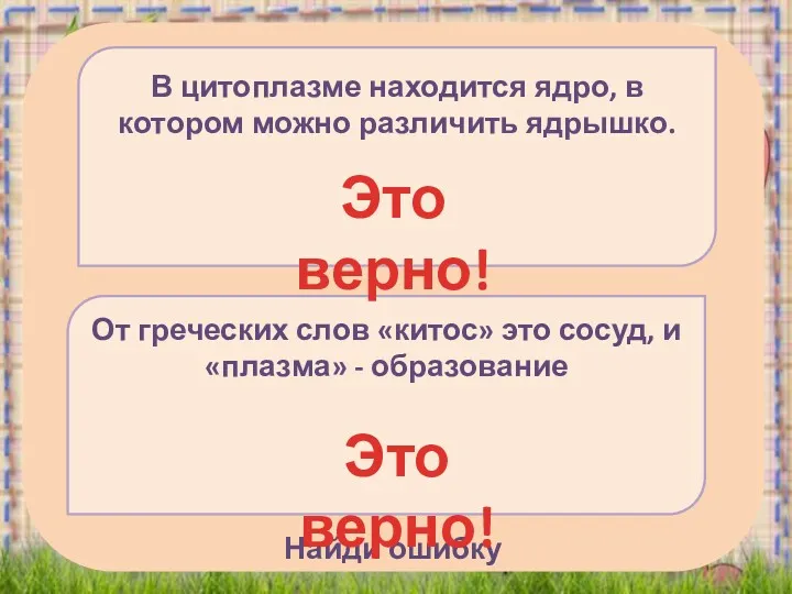 Найди ошибку От греческих слов «китос» это сосуд, и «плазма»