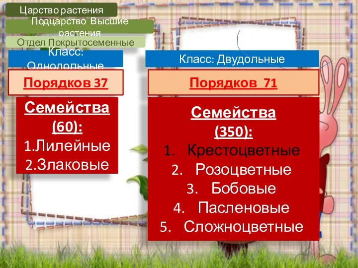 Царство растения Подцарство Высшие растения Отдел Покрытосеменные Класс: Однодольные Класс: