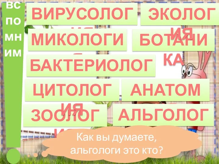 вспомним ВИРУСОЛОГИЯ МИКОЛОГИЯ БАКТЕРИОЛОГИЯ БОТАНИКА ЗООЛОГИЯ АНАТОМИЯ ЦИТОЛОГИЯ ЭКОЛОГИЯ АЛЬГОЛОГИЯ Как вы думаете, альгологи это кто?