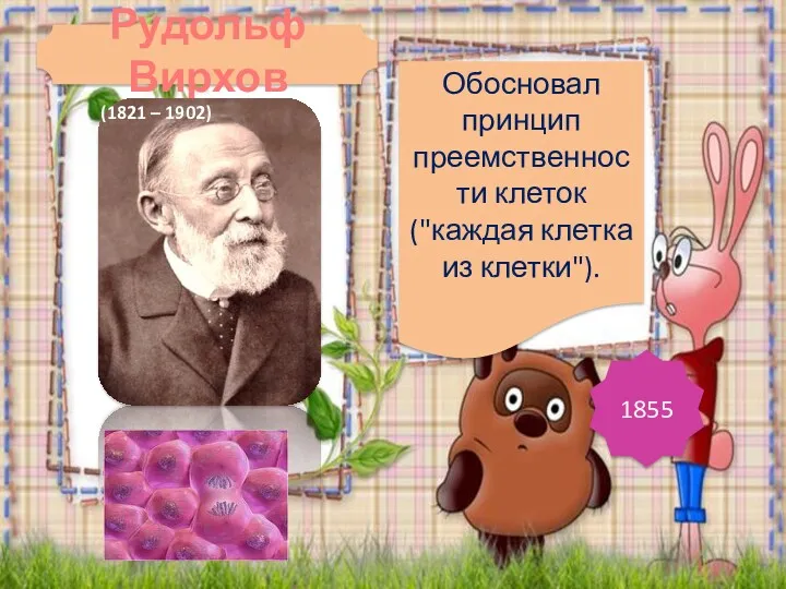 Обосновал принцип преемственности клеток ("каждая клетка из клетки"). 1855 Рудольф Вирхов (1821 – 1902)