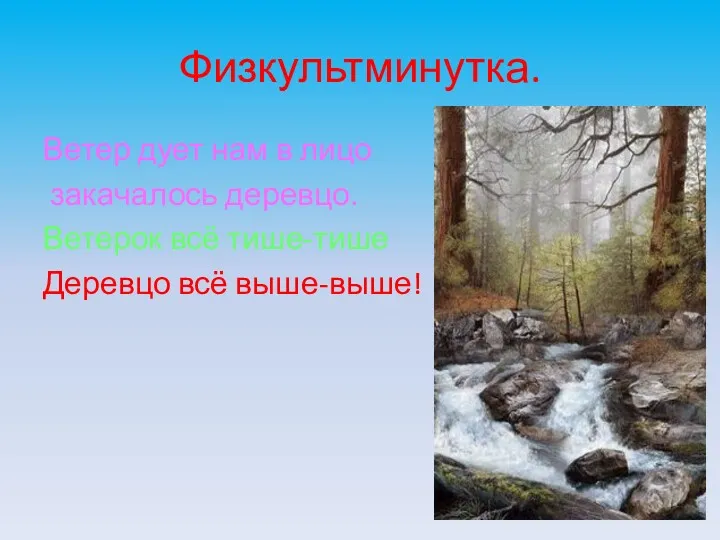 Физкультминутка. Ветер дует нам в лицо закачалось деревцо. Ветерок всё тише-тише Деревцо всё выше-выше!