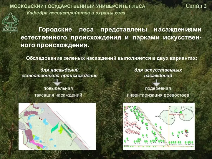 Городские леса представлены насаждениями естественного происхождения и парками искусствен-ного происхождения.