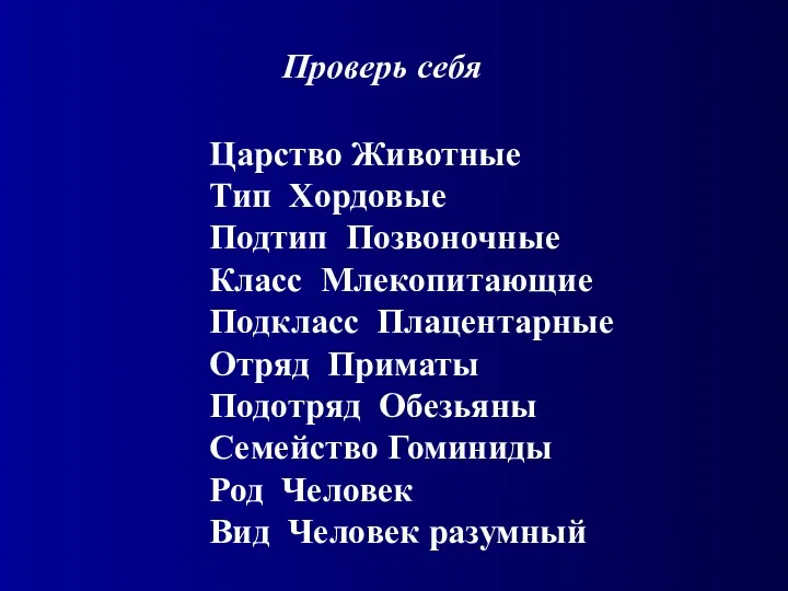 Царство Животные Тип Хордовые Подтип Позвоночные Класс Млекопитающие Подкласс Плацентарные