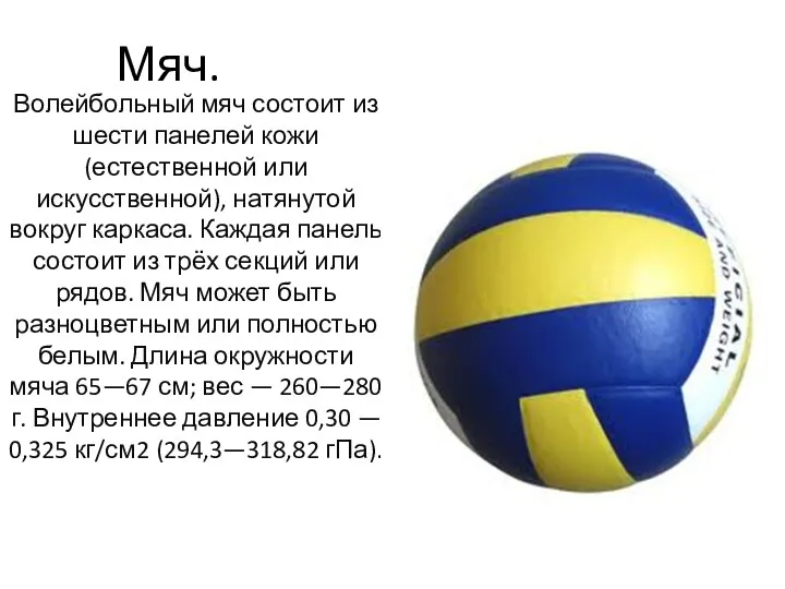 Мяч. Волейбольный мяч состоит из шести панелей кожи (естественной или