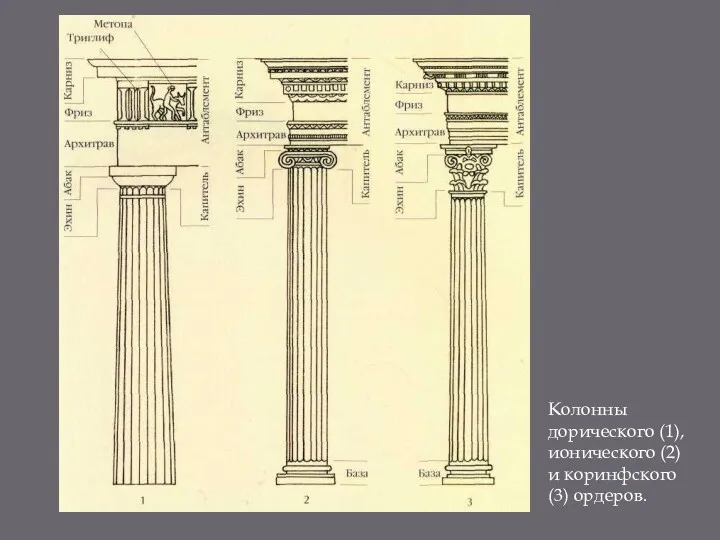 Колонны дорического (1), ионического (2) и коринфского (3) ордеров.