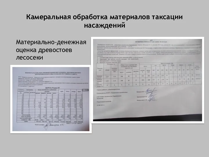 Камеральная обработка материалов таксации насаждений Материально-денежная оценка древостоев лесосеки