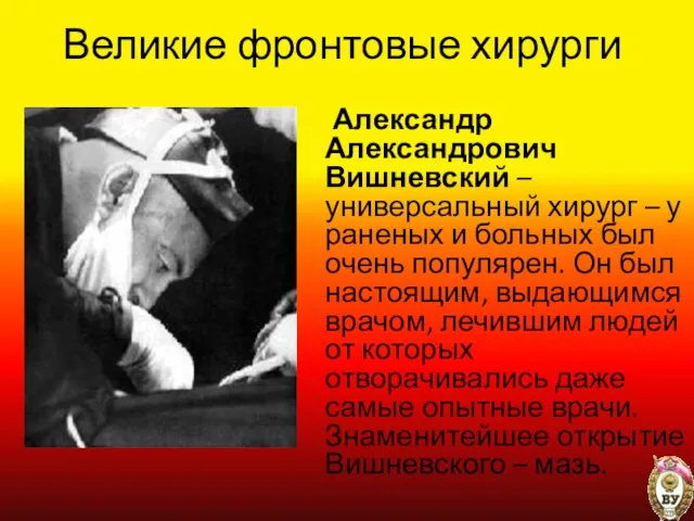 Великие фронтовые хирурги Александр Александрович Вишневский – универсальный хирург –