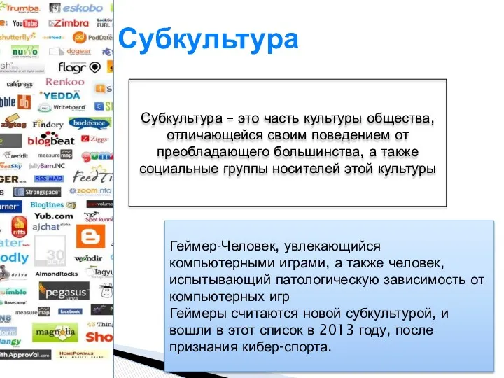 Субкультура Субкультура – это часть культуры общества, отличающейся своим поведением