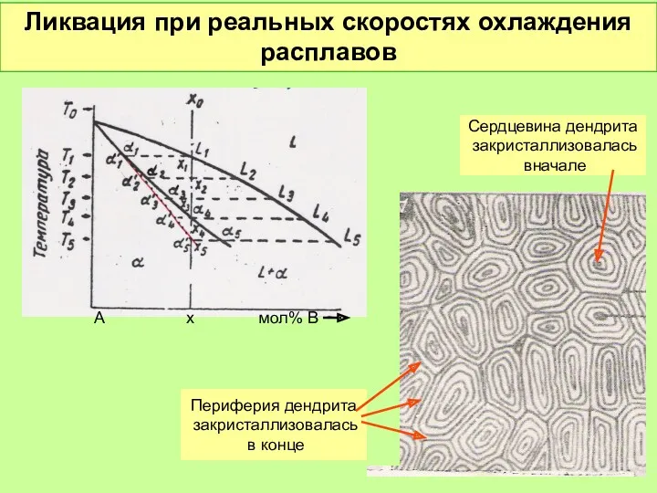 Ликвация при реальных скоростях охлаждения расплавов А х мол% В