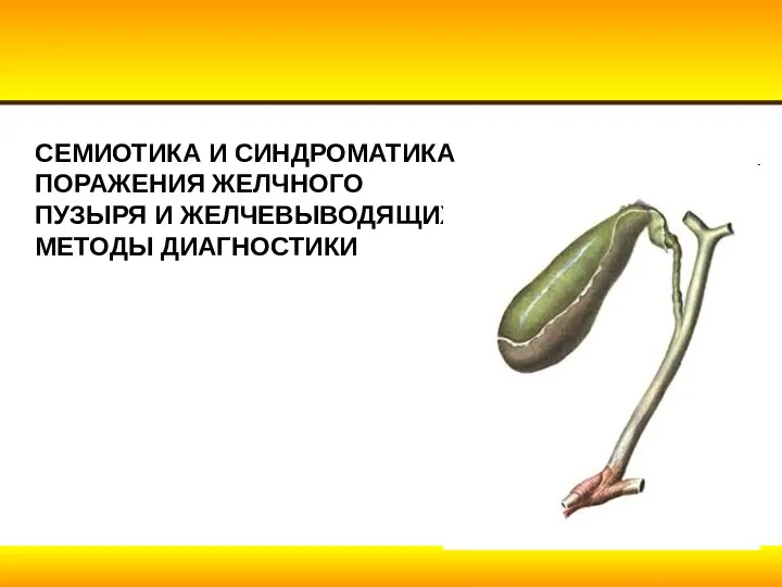 СЕМИОТИКА И СИНДРОМАТИКА ПОРАЖЕНИЯ ЖЕЛЧНОГО ПУЗЫРЯ И ЖЕЛЧЕВЫВОДЯЩИХ ПУТЕЙ. МЕТОДЫ ДИАГНОСТИКИ