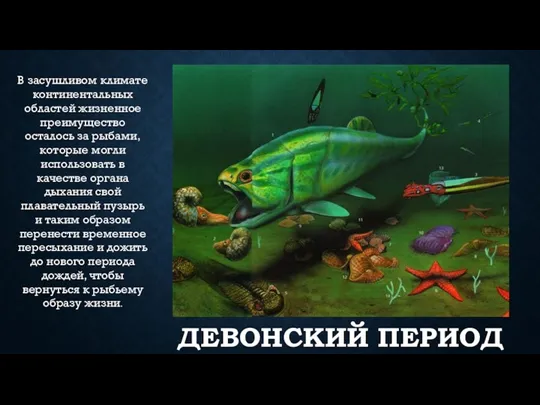 ДЕВОНСКИЙ ПЕРИОД В засушливом климате континентальных областей жизненное преимущество осталось