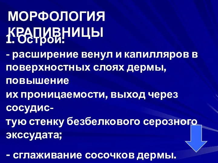 МОРФОЛОГИЯ КРАПИВНИЦЫ 1. Острой: - расширение венул и капилляров в