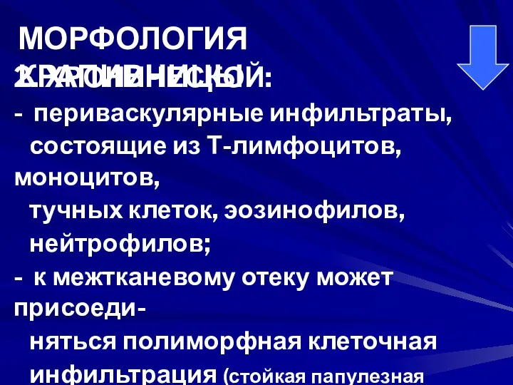 2. ХРОНИЧЕСКОЙ: - периваскулярные инфильтраты, состоящие из Т-лимфоцитов, моноцитов, тучных