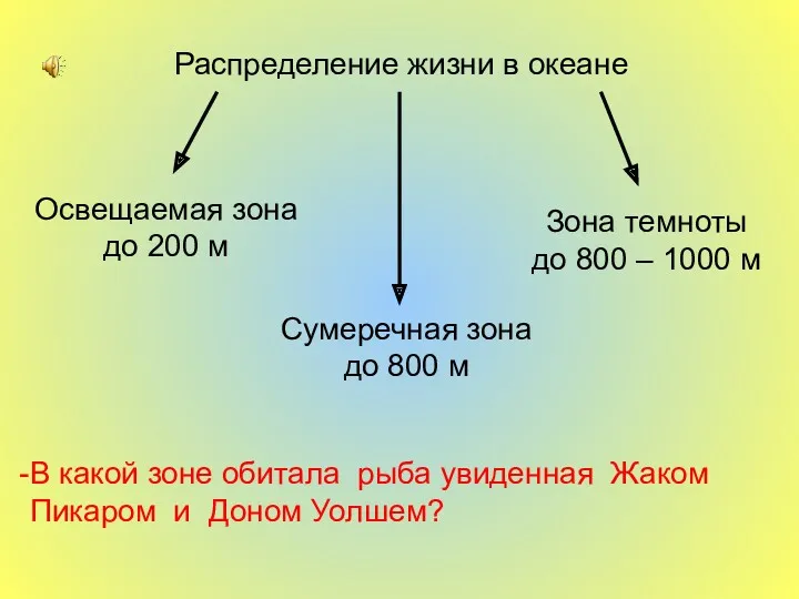 Распределение жизни в океане Освещаемая зона до 200 м Сумеречная