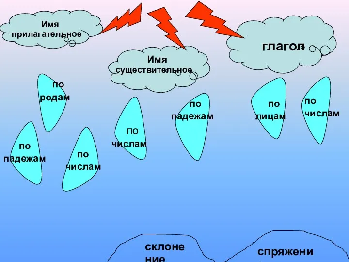 Имя прилагательное Имя существительное глагол по родам по числам по