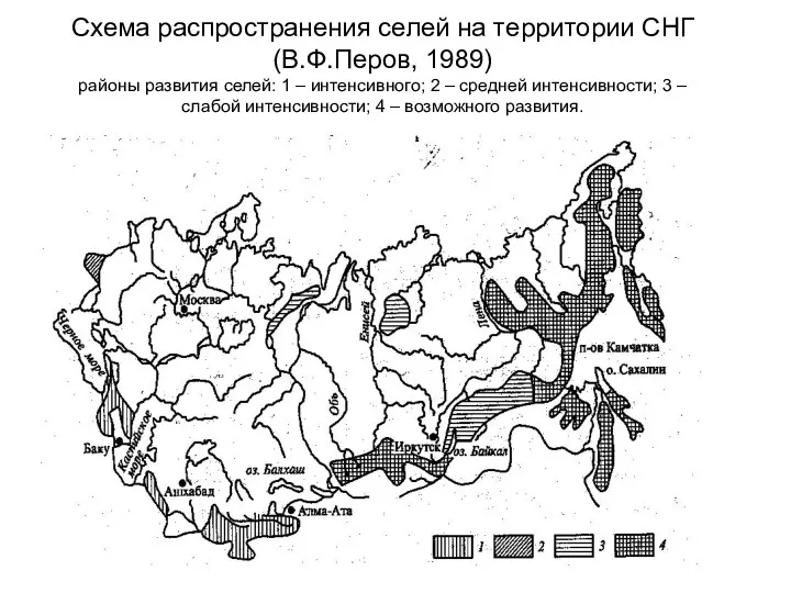 Схема распространения селей на территории СНГ (В.Ф.Перов, 1989) районы развития