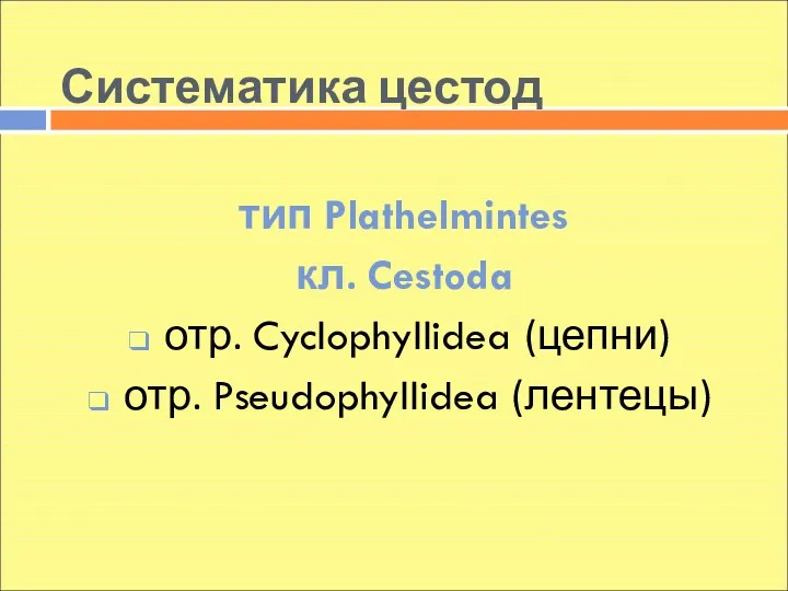 Систематика цестод тип Plathelmintes кл. Cestoda отр. Cyclophyllidea (цепни) отр. Pseudophyllidea (лентецы)