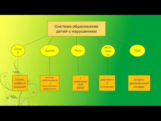 Система образования детей с нарушением Слуха Зрения Речи интеллекта ОДА