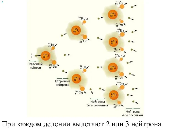 х При каждом делении вылетают 2 или 3 нейтрона