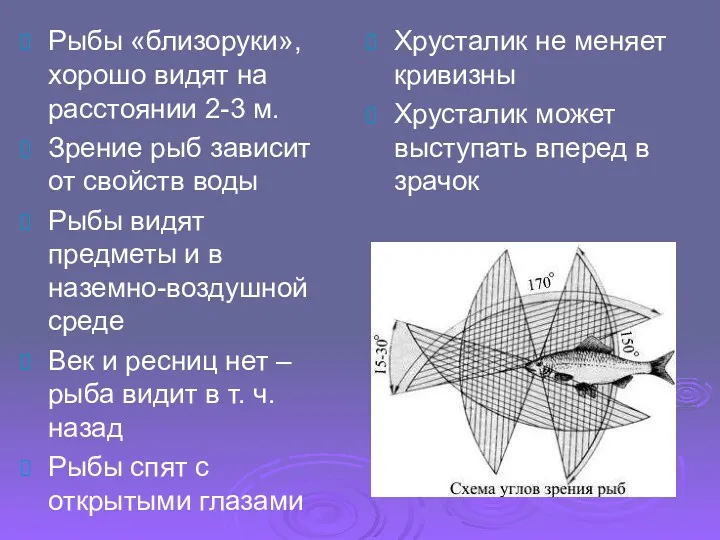 Хрусталик не меняет кривизны Хрусталик может выступать вперед в зрачок