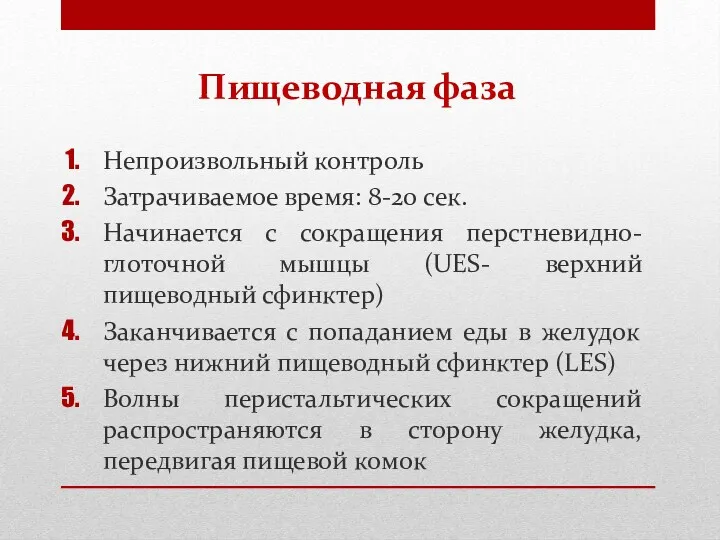 Пищеводная фаза Непроизвольный контроль Затрачиваемое время: 8-20 сек. Начинается с